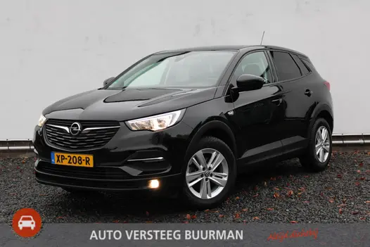 Opel Grandland X 1.2 Turbo Business Executive Trekhaak, Stuurverw. en Dealer onderhouden!