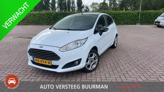 Ford Fiesta 1.0 White Edition 1e Eigenaar, Origineel Nederlands, Lichtmetalen Velgen, Airco, Radio, Elektrische Ramen Voor