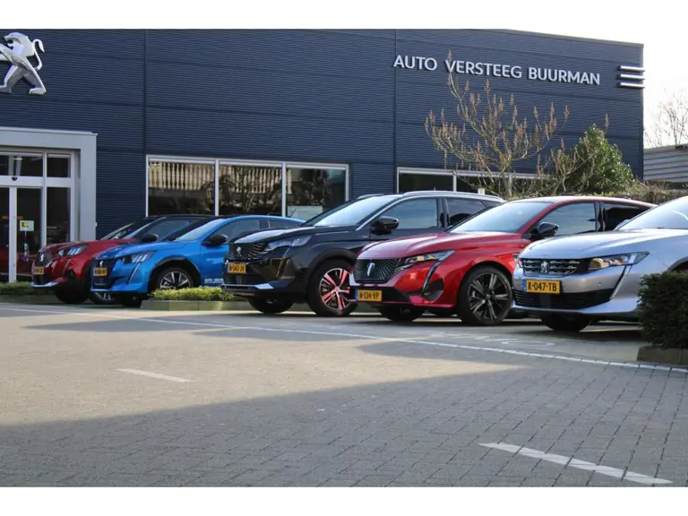 Peugeot e-208 Allure 51 kWh 156PK Navigatie, Rondomzichtcamera, Parkeersensoren, Apple Carplay, Android Auto afbeelding 36