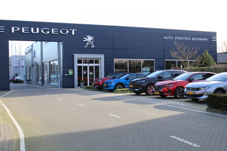 Peugeot E-3008 Allure 73 kWh 214PK Automaat Navigatie, Rondomzichtcamera, Keyless Entry & Start, Parkeersensoren Voor & Achter afbeelding 40