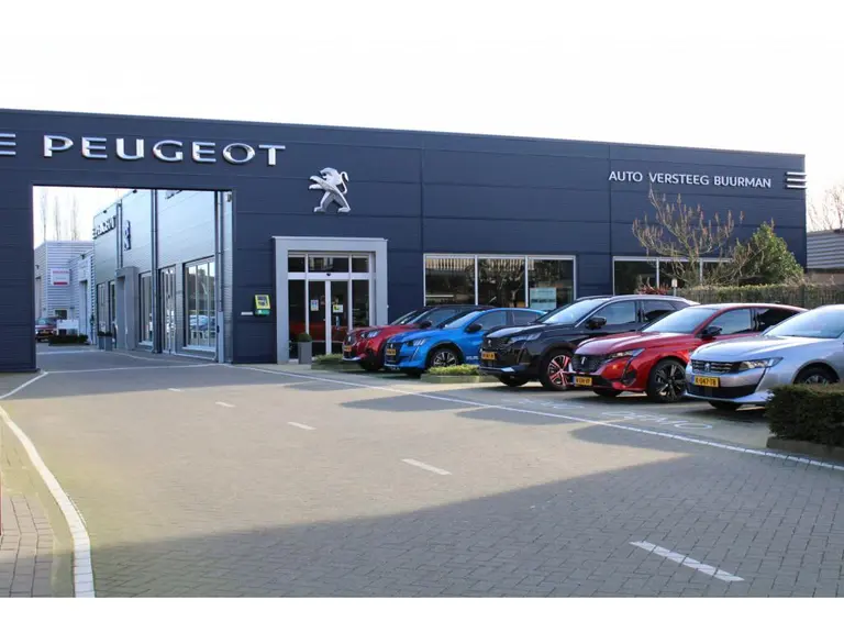 Peugeot e-208 Allure 51 kWh 156PK Navigatie, Rondomzichtcamera, Parkeersensoren, Apple Carplay, Android Auto afbeelding 34