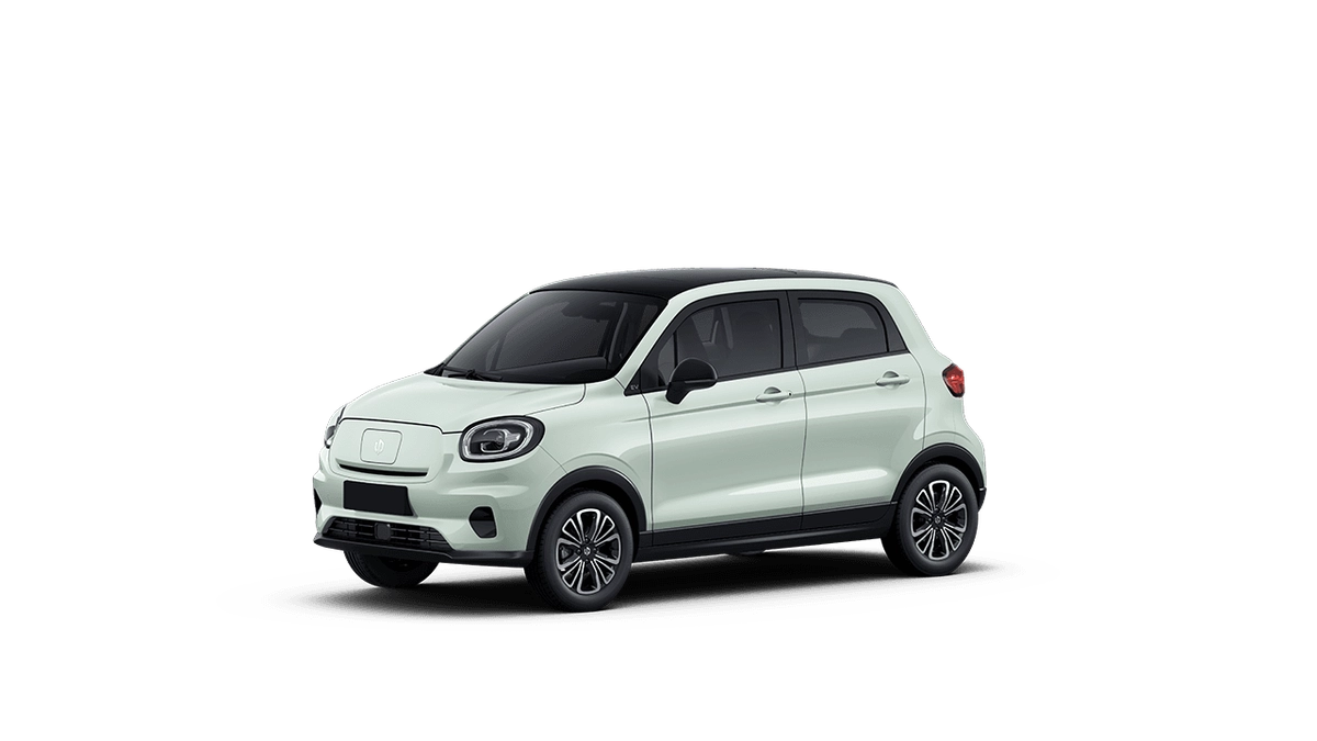 new Leapmotor T03 Auto Versteeg Buurman Voorthuizen Barneveld Ede Veenendaal Apeldoorn Deventer Ermelo mo.png