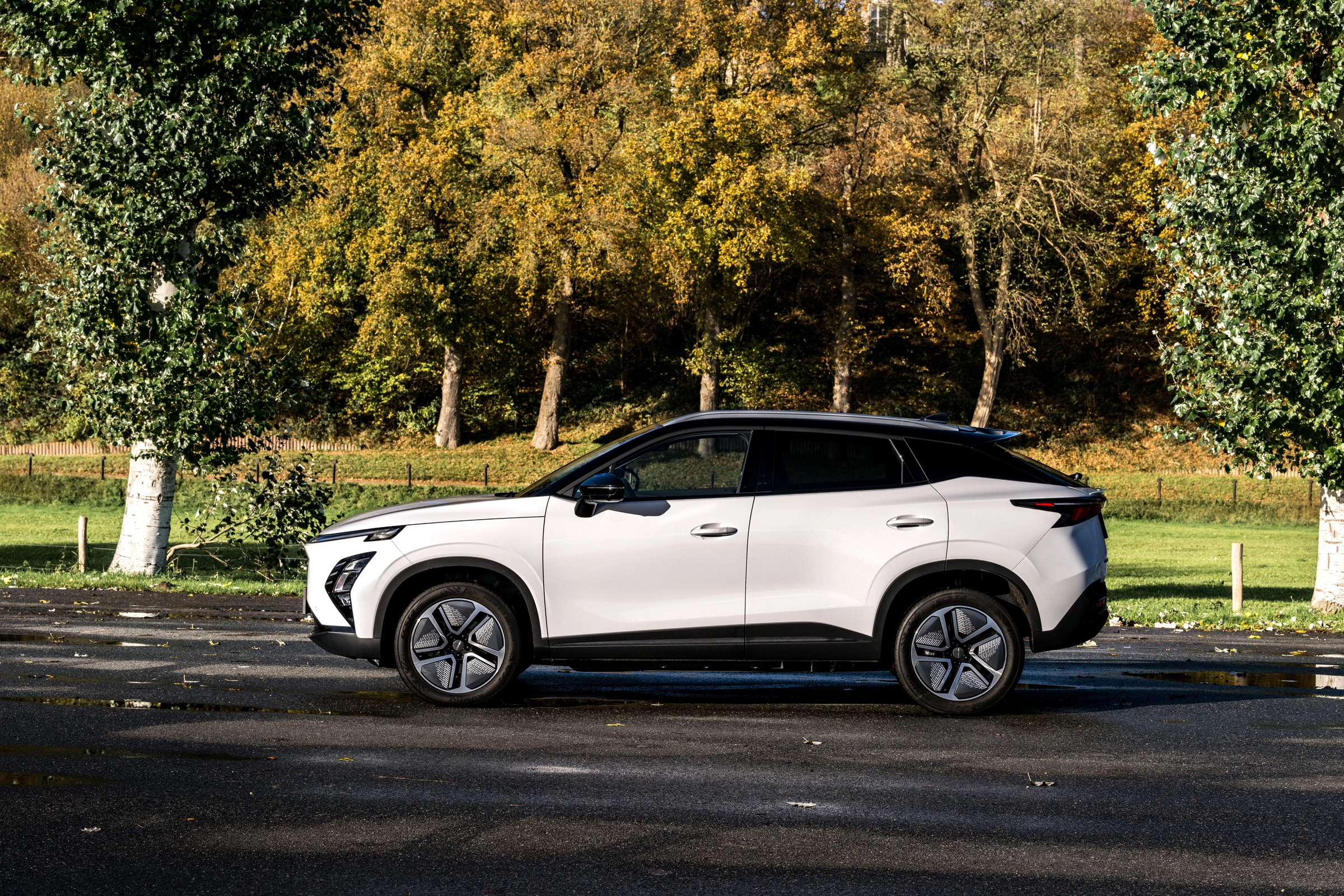 Omoda Auto Versteeg Buurman Barneveld Ermelo Nunspeet Ede Veenendaal (8).jpg